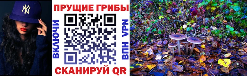 Галлюциногенные грибы прущие грибы  Могоча 